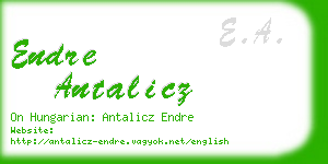 endre antalicz business card